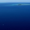 Migaloo off Green Island taken by Marc McCormack