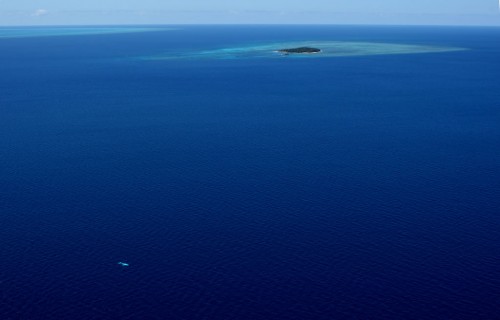 Migaloo off Green Island taken by Marc McCormack