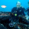 Diving into your Bucket List