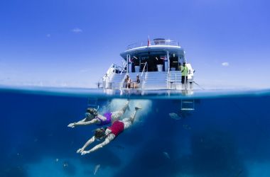 Let's go to the Reef! Operational Update