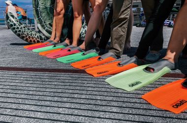 ATEC Inbound Up North was Turtley Terrific!