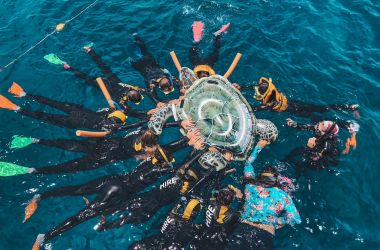 ATEC Inbound Up North was Turtley Terrific!