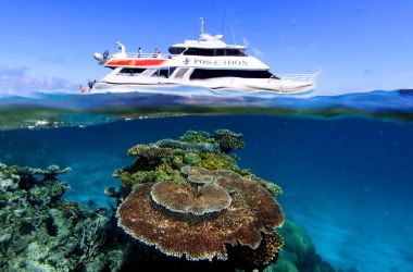 Ecotourism Australia Accolades