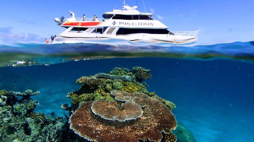 Poseidon cruises
