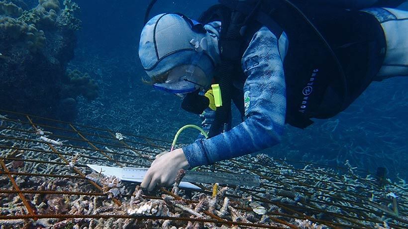 Reef Biosearch